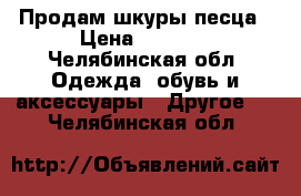 Продам шкуры песца › Цена ­ 3 000 - Челябинская обл. Одежда, обувь и аксессуары » Другое   . Челябинская обл.